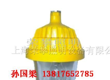 供应BPC8720 防爆平台灯 BPC8720