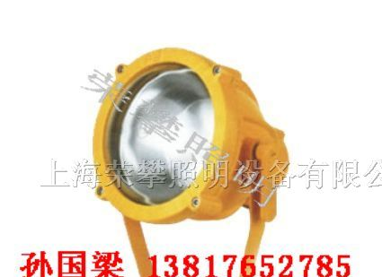 供应BTC8200 防爆投光灯 BTC8200 BTC8200A