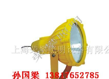 供应BTC8210 防爆投光灯 BTC8210