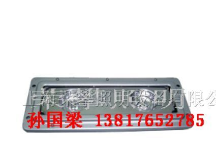 供应NFC9170S固态免维护顶灯 NFC9170S固态免维护顶灯