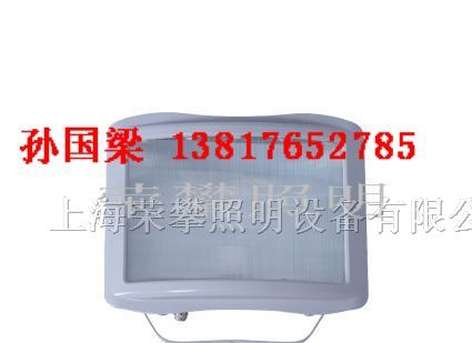 供应NSE9720 防眩应急通路灯 NSE9720