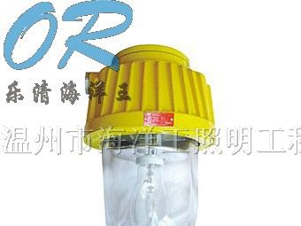 供应海洋王BPC8730防爆平台灯BPC8720