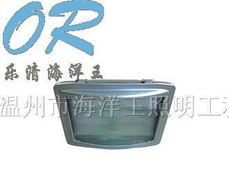 供应海洋王NSE9720防眩应急通路灯