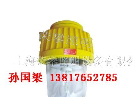 供应BPC8731/ON防爆平台灯 BPC8730防爆平台灯