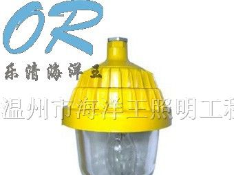 供应海洋王 防爆平台灯 BPC8720 BPC8720 BPC8720