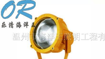 供应海洋王BTC8200/BTC8200A防爆投光灯