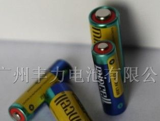 供应12V防盗器电池