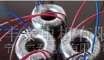 供应环型变压器，环型隔离变压器环形自藕变压器(图)