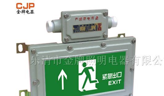 供应BAYD81系列防爆标志灯 BAYD81