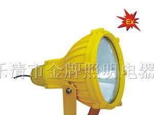 供应BTC8210 防爆投光灯 BTC8210