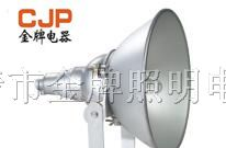 供应NTC9200 防震型投光灯 NTC9200A