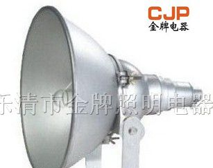 供应CNT9160A 防震型投光灯 CNT9160