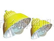 供应BPC8700 防爆平台灯 BPC8720