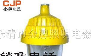 供应BPC8720 防爆平台灯 BPE8720