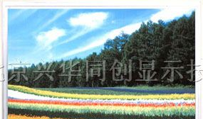 供应液晶屏LQ104S1DG61