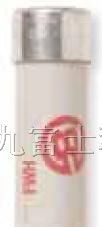代理保险丝北美标准FWH 系列