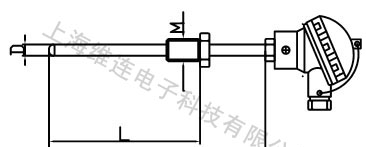 供应热电阻温度传感器T-10