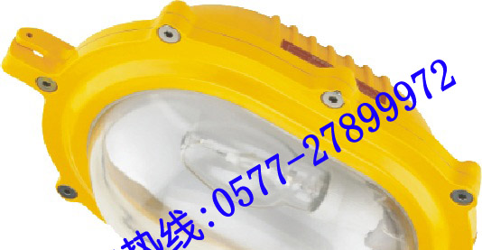 供应BYC6120 内场防爆强光泛光灯 BYC6120 BYC6120