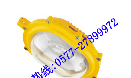 供应BFE8120 内场防爆应急灯 BFE8120 BFE8120