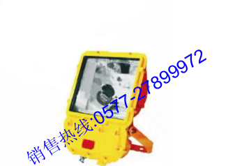 供应BFC8110 防爆泛光灯 BFC8110 BFC8110