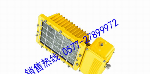 供应BTC6131 厂用防爆泛光灯(路灯) BTC6131