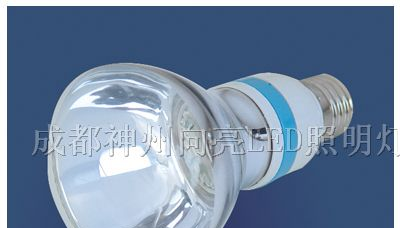 供应白光LED球泡