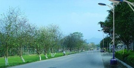 供应大功率LED灯具、风光互补路灯
