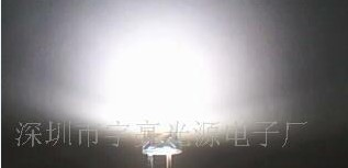 供应5MM草帽白色led发光二极管