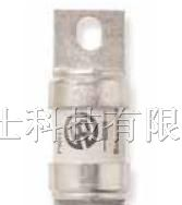 供应北美系列熔断器FWH-600A，FWH-800A快速熔断器