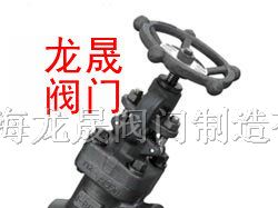 供应Y型锻钢截止阀