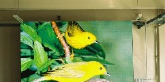 供应嘉科P6室内横向滚动全彩超高亮LED显示屏
