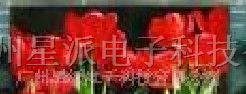 供应星派P16桐城市全彩LED显示屏