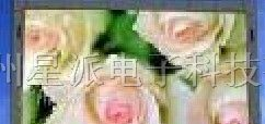 供应星派P16宁国市全彩LED显示屏