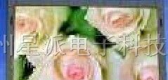 供应星派P16LED全彩显示屏