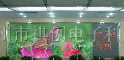 供应祺创P7.62室内表贴全彩LED显示屏