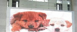 供应嘉科P12室内全彩超高亮LED显示屏