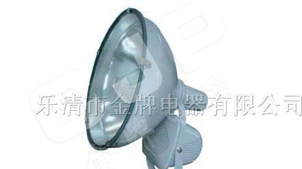 供应ZT6902 防水防尘防震投光灯