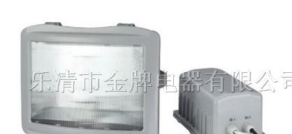 供应NSE9720防眩应急通路灯