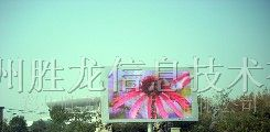 供应胜龙多种型号户外全彩屏led