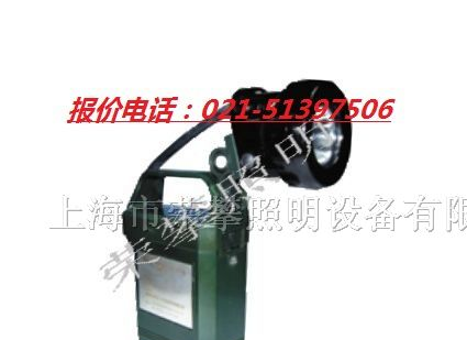供应IW5120便携式免维护强光防爆工作灯 IW5120