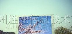 供应胜龙各种型号全彩led全彩屏