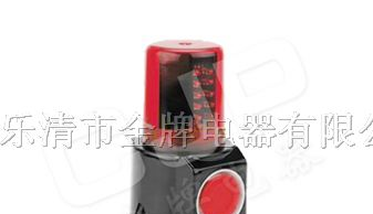 供应FL4870/LZ多功能声光报警灯