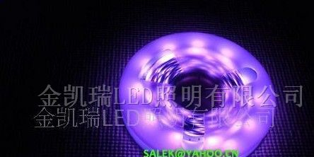 供应LED灯条,LED软灯条,SMD 灯条