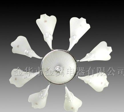 供应吊灯型LED感应灯