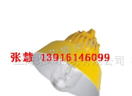 供应BPC8700，BPC8730 防爆平台灯 SBPC8700