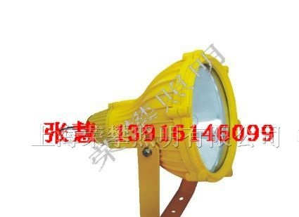 供应BTC8210，SBTC8210 防爆投光灯 CNT9150