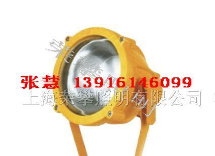供应BTC8200 防爆投光灯 SBTC8200