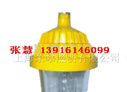 供应BPC8720 防爆平台灯SBPC8720