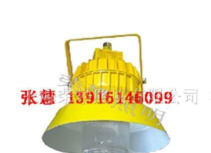供应BPC8710，SBPC8710 防爆平台灯 BPC8731
