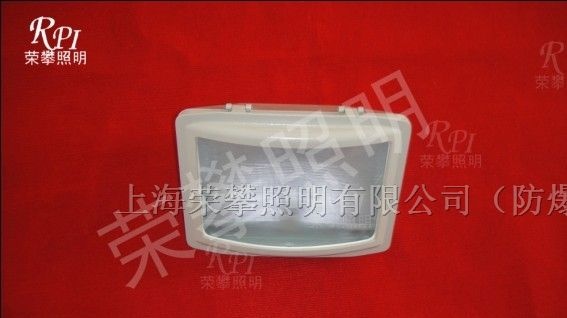 供应NSE9720，SNSE9720 防眩应急通路灯 NFE9180